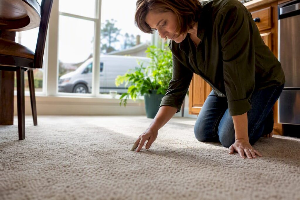 Homeowner inspecting carpet before cleaning