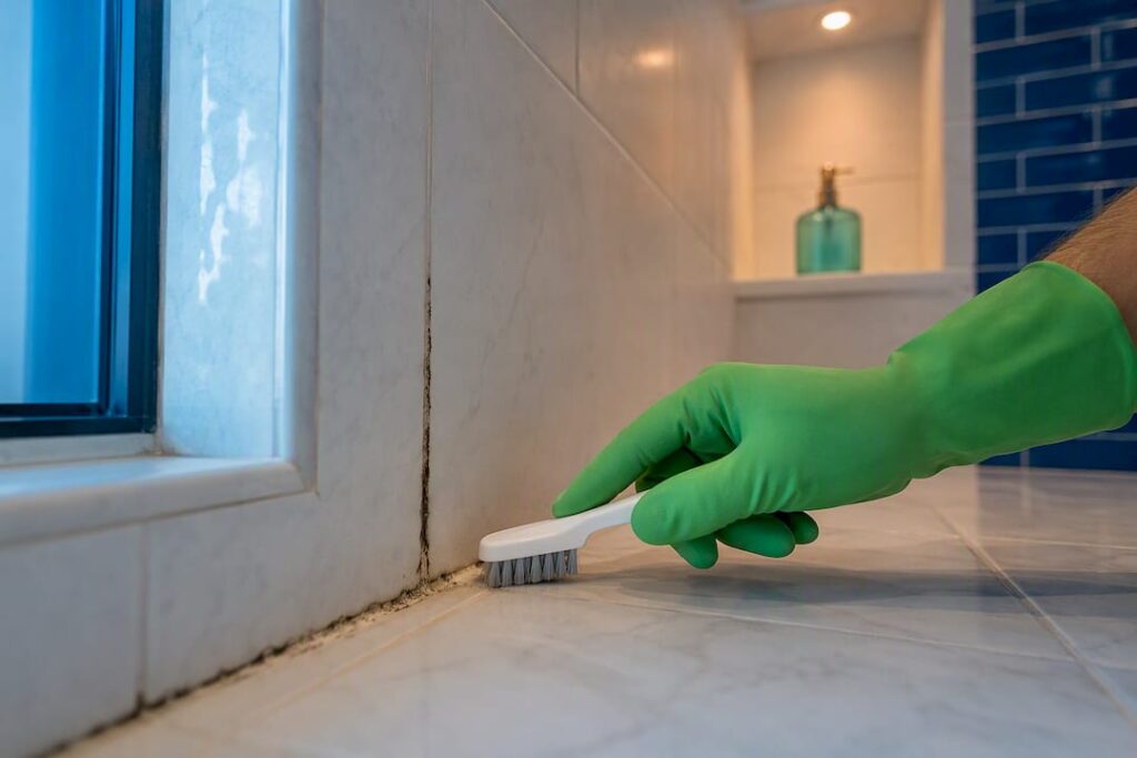 Mold-speckled shower grout ready for cleaning