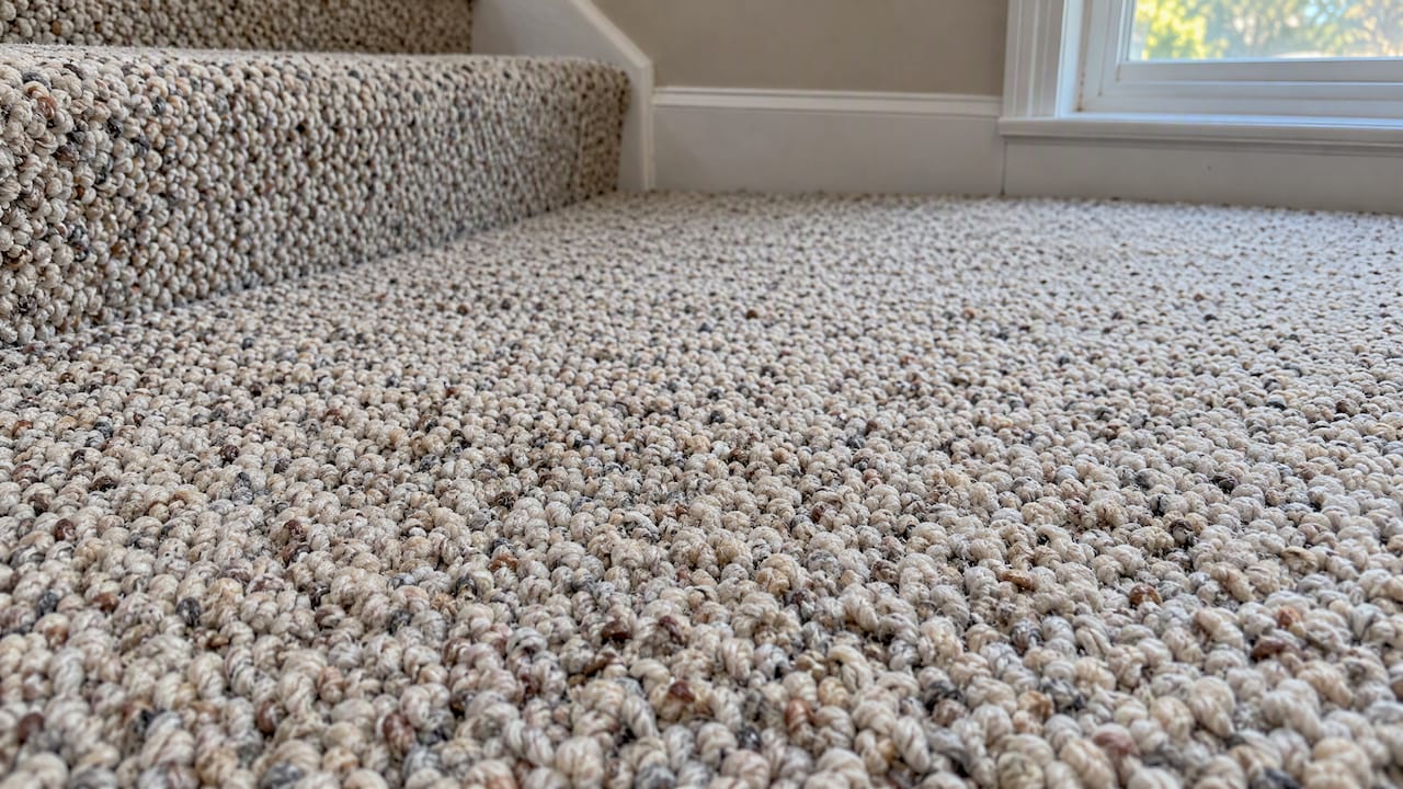 Soil caught between Berber carpet loops